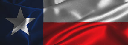 Texas Politics cover