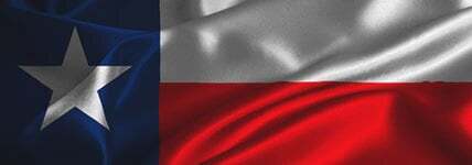 Texas Politics catalog cover